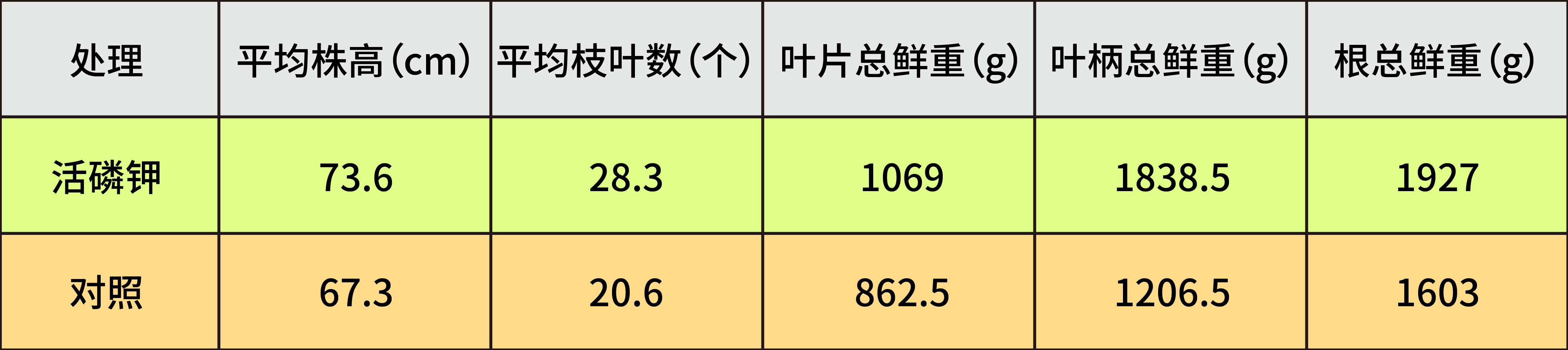 表格-01.jpg